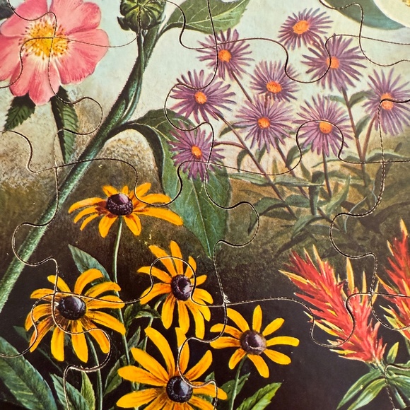 Vintage 1966 Springbok Puzzle Wild Flowers Approx. 60 Lg Pieces By Maynard Reece - Picture 9 of 15